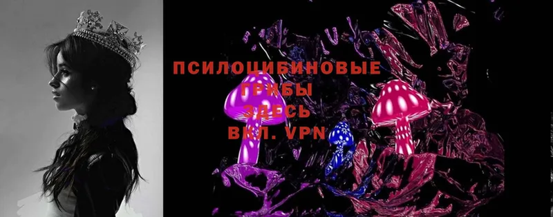 Псилоцибиновые грибы Magic Shrooms  Будённовск 